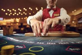 Pemain mengakses platform live casino mg4d via ponsel dengan antarmuka ramah pengguna